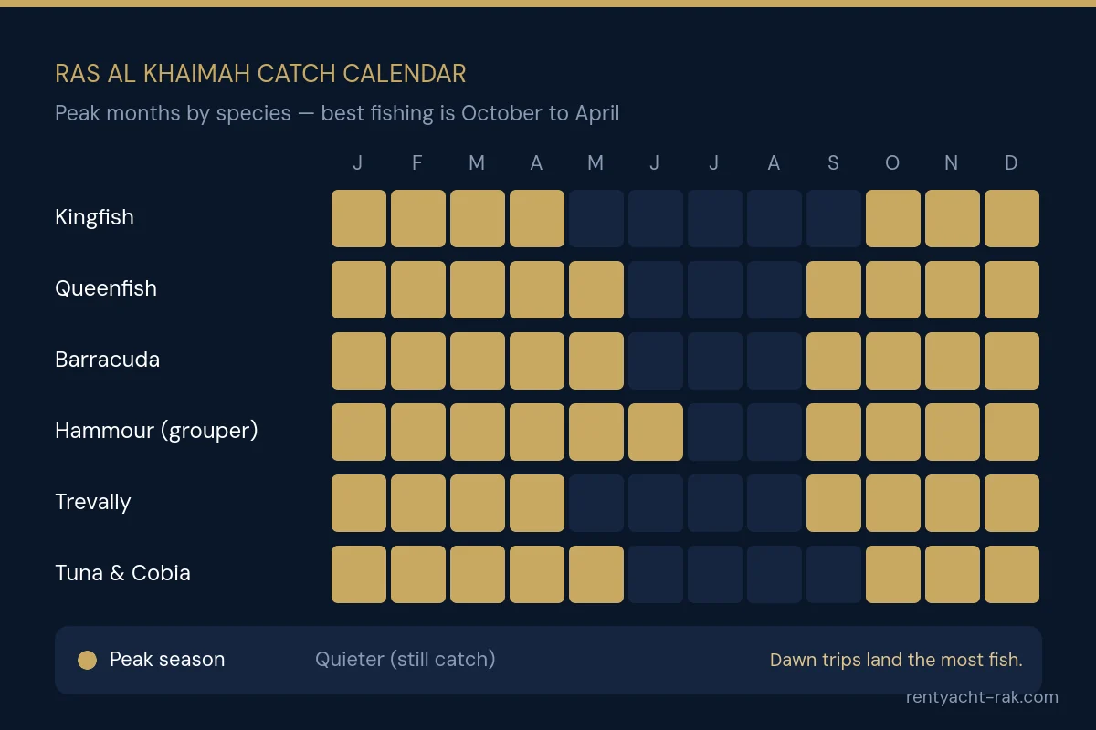 Ras Al Khaimah catch calendar showing peak months for kingfish, queenfish, barracuda, hammour, trevally, tuna and cobia — best October to April